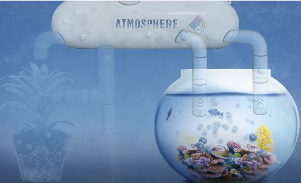 Video: How Carbon Affects Nearly Everything on Earth – Including Our Future