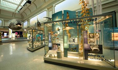 Our Global Ocean Smithsonian edX Course