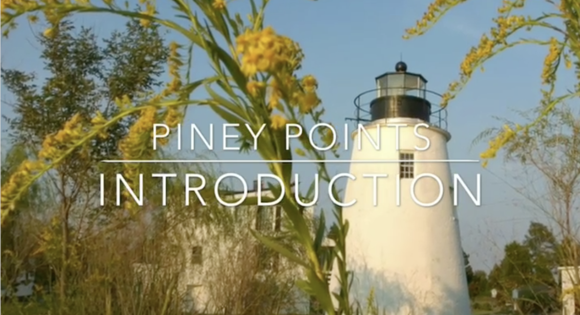 “Piney Points” Instagram Video Shorts Tell Maryland History