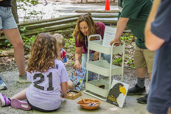 Civic Play Invitations