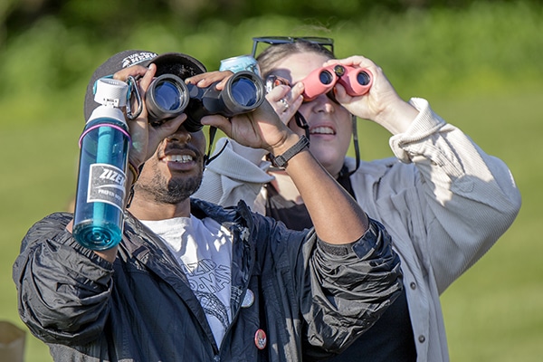 “Let’s Go Birding Together” (LGBT) Walk